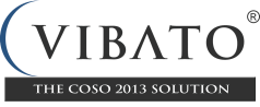 Vibato COSO 2013