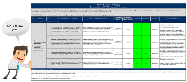 COSO 2013 Principle Setting