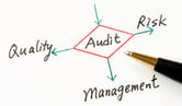 Audit Risk